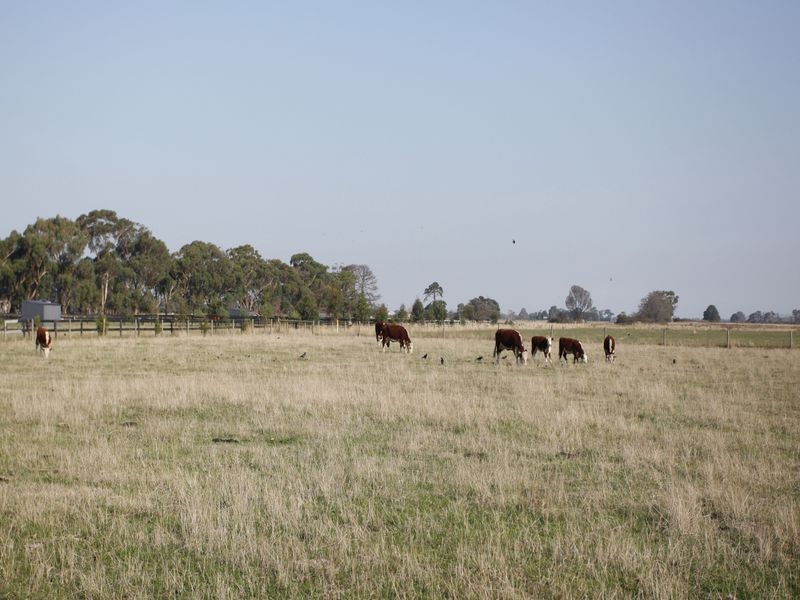 70 Ellett Road, Pakenham VIC 3810