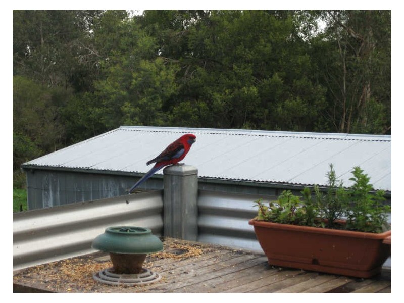 755 Tynong North Road, Tynong North VIC 3813