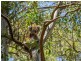 119 Western Boulevard, Raymond Island VIC 3880