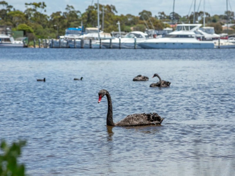 119 Western Boulevard, Raymond Island VIC 3880