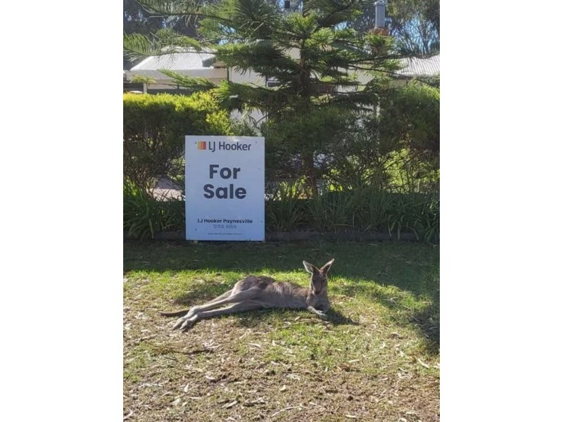 51 Sixth Avenue, Raymond Island VIC 3880