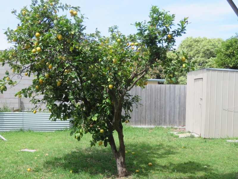 2/4 Waverley Court, Paynesville VIC 3880