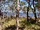 Raymond Island VIC 3880