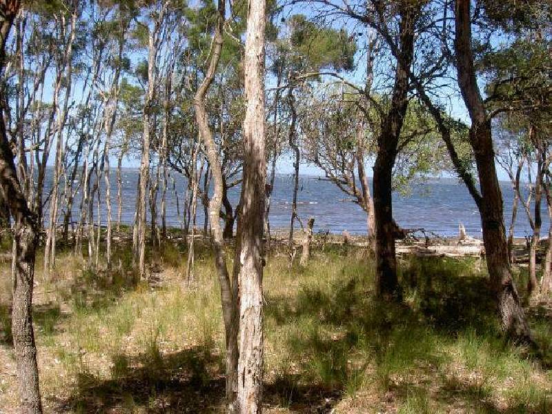 Raymond Island VIC 3880