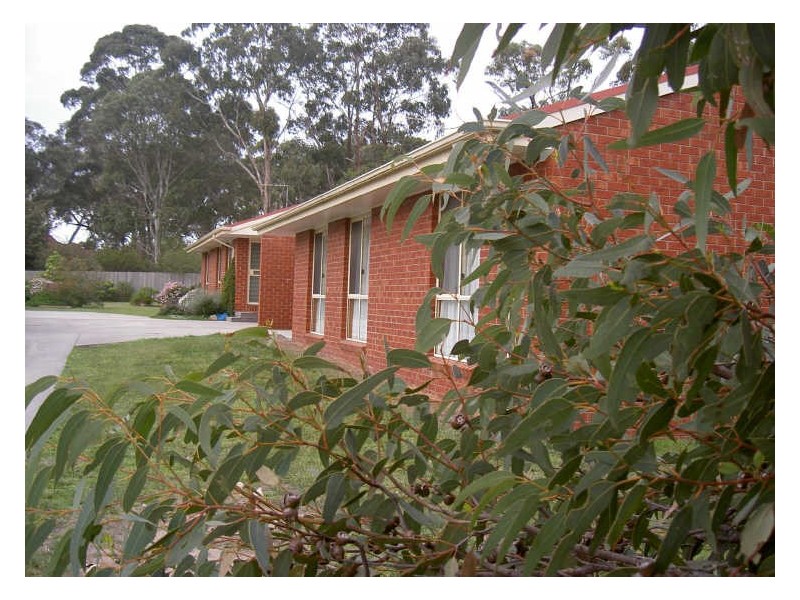 1/42 Ashley Street, Paynesville VIC 3880