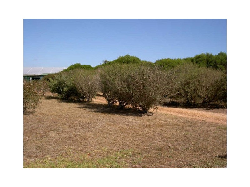 8 Lake Tide Avenue, Newlands Arm VIC 3875