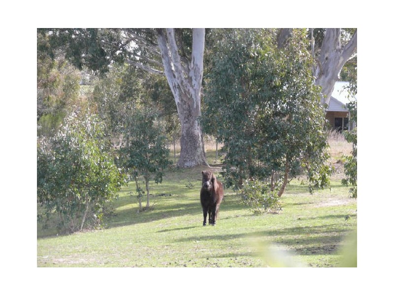 Eagle Point VIC 3878