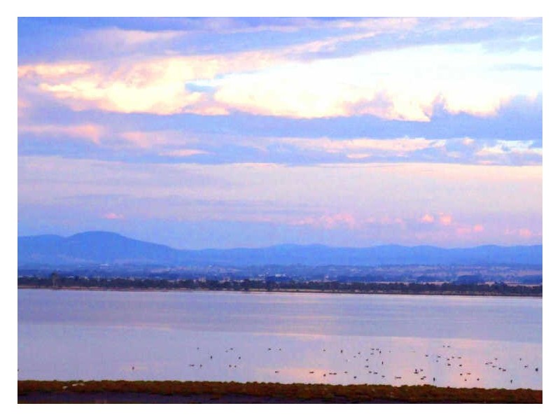 31 Eagle Bay Terrace, Paynesville VIC 3880