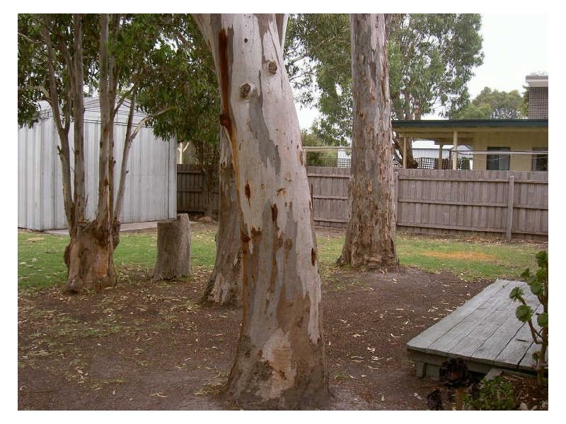 141 Bay Road, Eagle Point VIC 3878