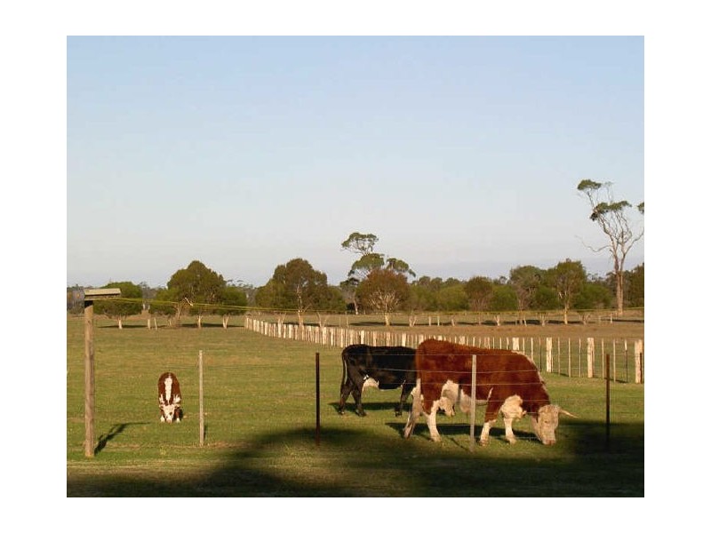 335 Romawi Road, Forge Creek VIC 3875