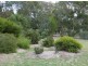 Eagle Point VIC 3878
