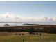 Paynesville VIC 3880