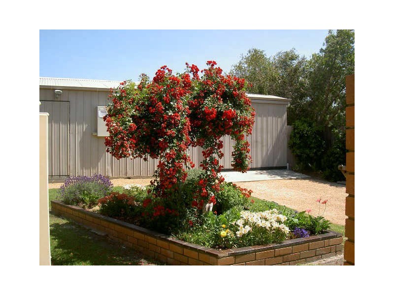 Newlands Arm VIC 3875