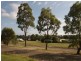 Newlands Arm VIC 3875