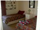 Paynesville VIC 3880
