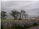 Paynesville VIC 3880