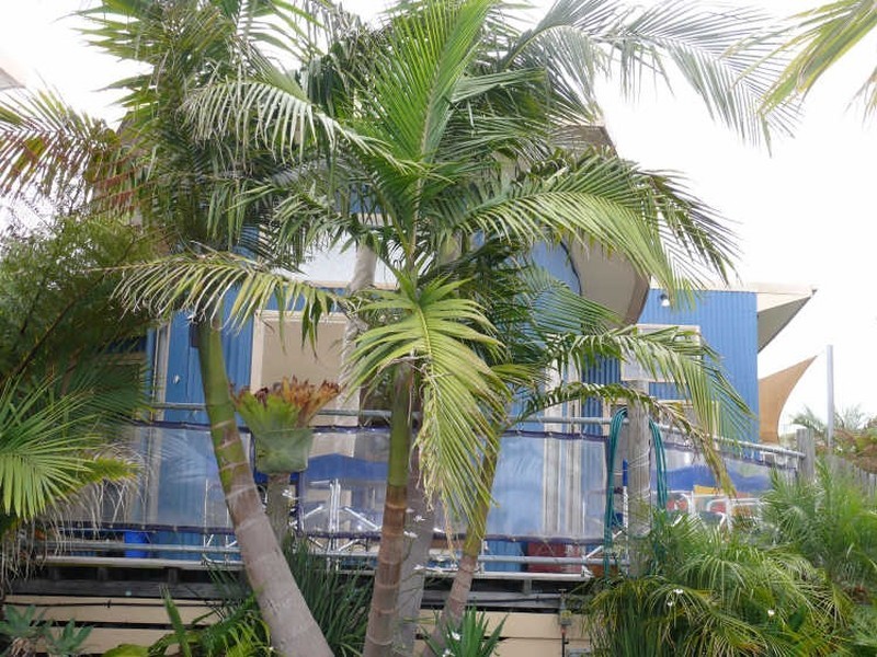 Paynesville VIC 3880