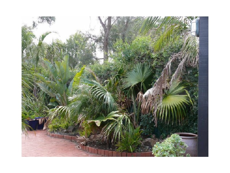 Paynesville VIC 3880