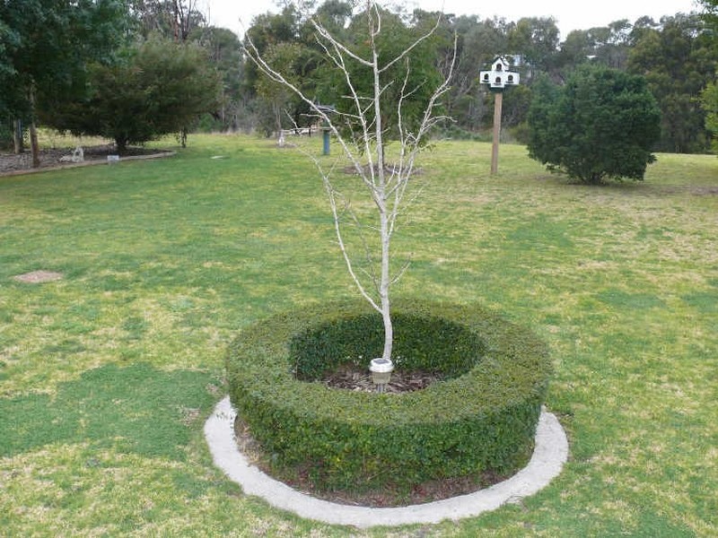 Newlands Arm VIC 3875