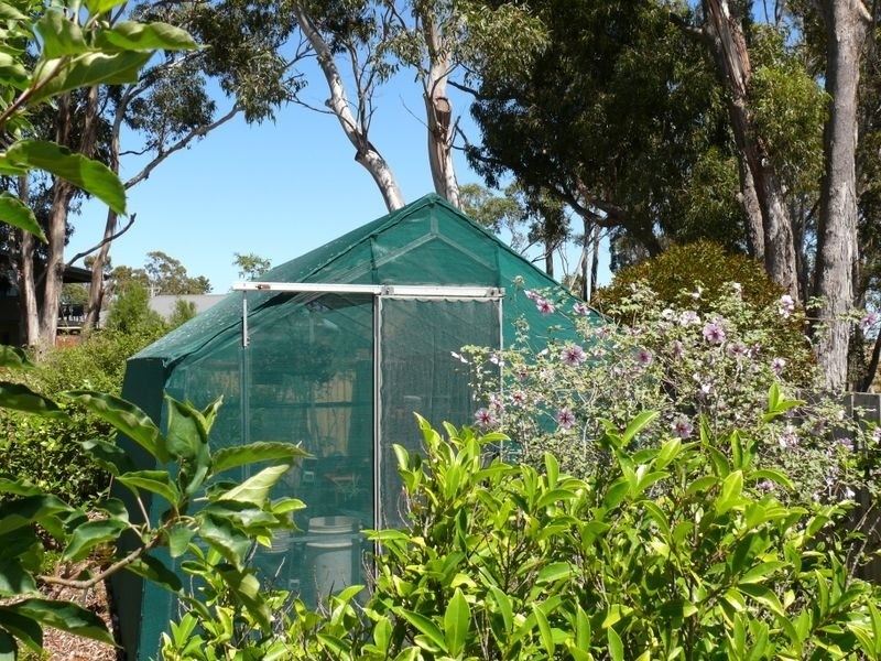 Paynesville VIC 3880
