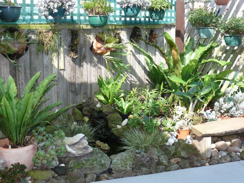 Paynesville VIC 3880