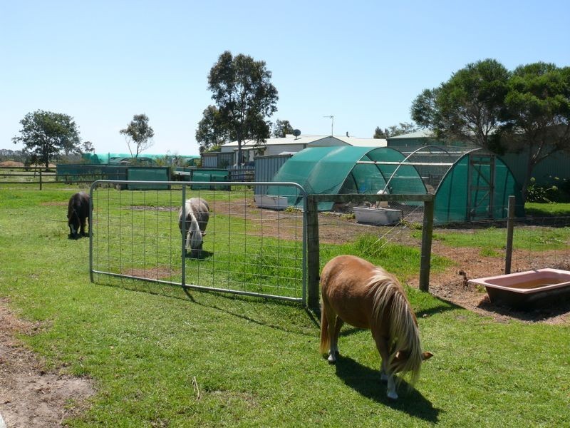 45 Birrells Road, Newlands Arm VIC 3875