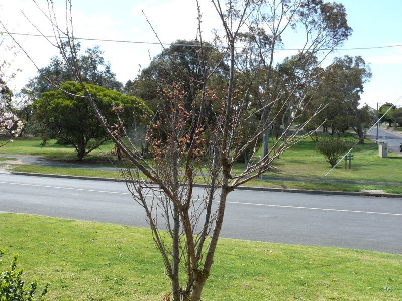 1/45 King Street, Paynesville VIC 3880