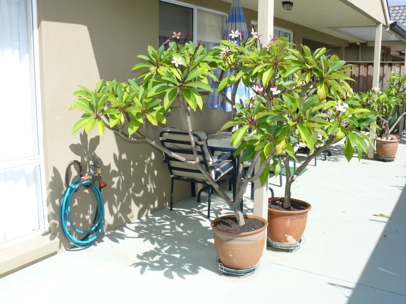 16/9-11 Wellington Street, Paynesville VIC 3880