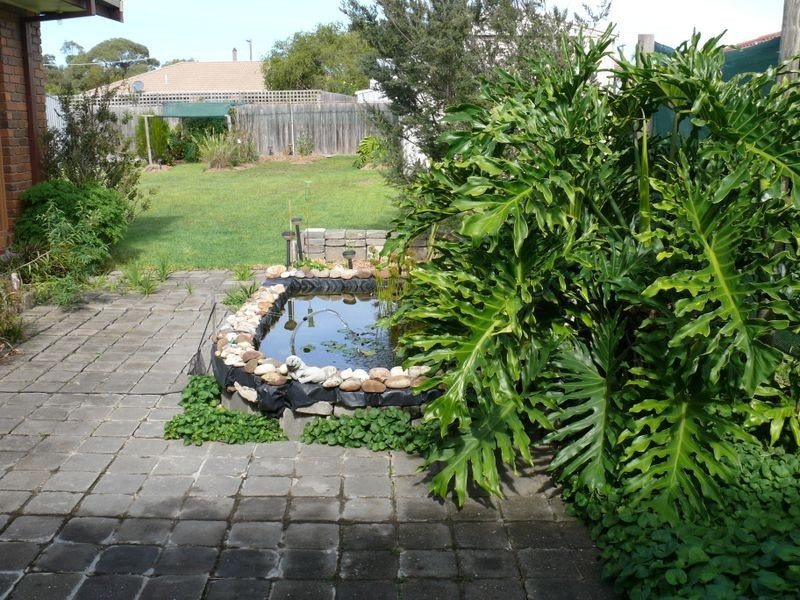 Paynesville VIC 3880