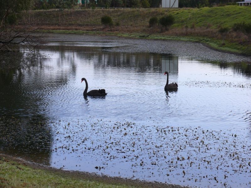 Eagle Point VIC 3878