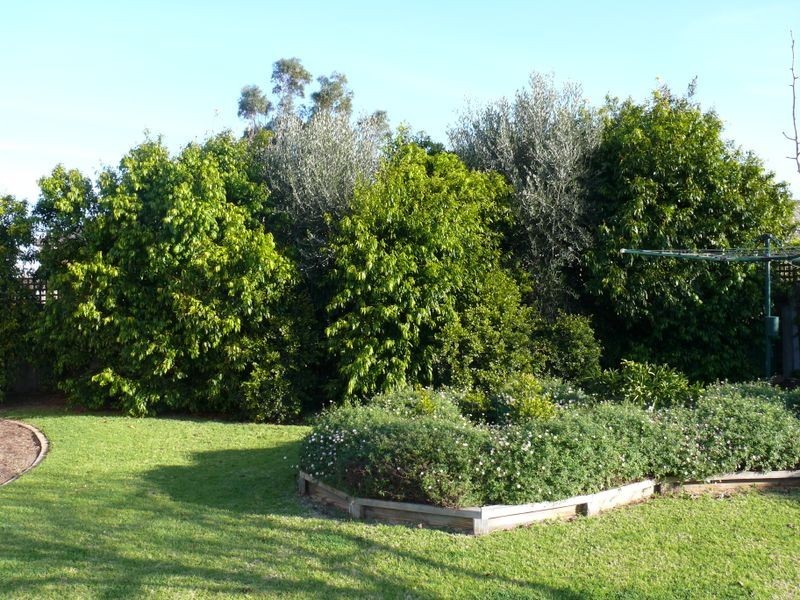 Paynesville VIC 3880