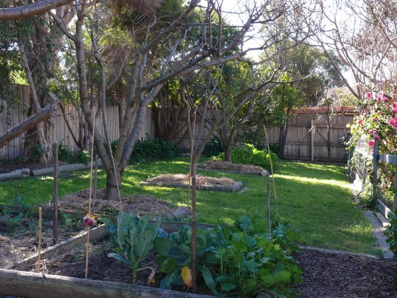 Paynesville VIC 3880