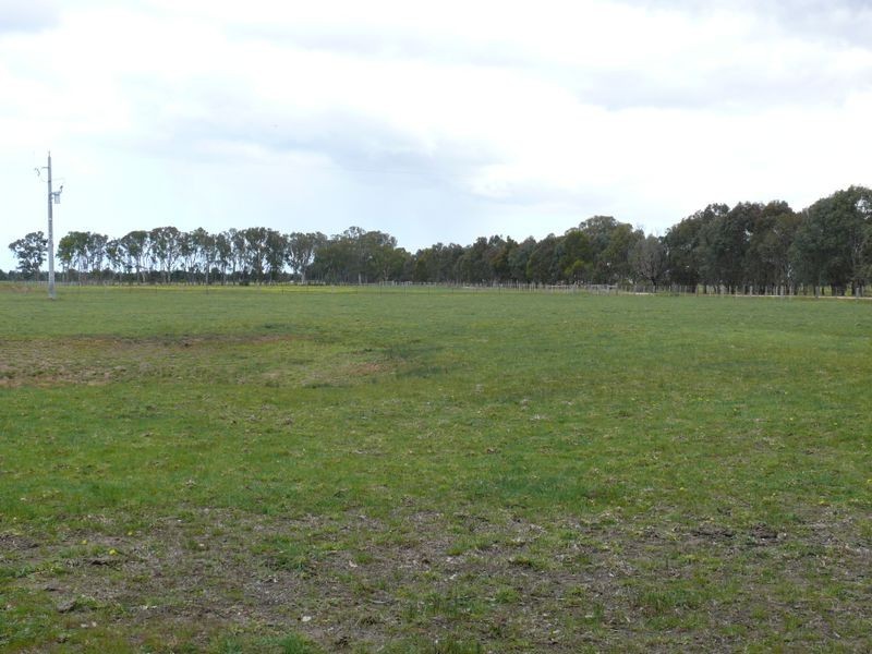 66 Jones Road, Eagle Point VIC 3878