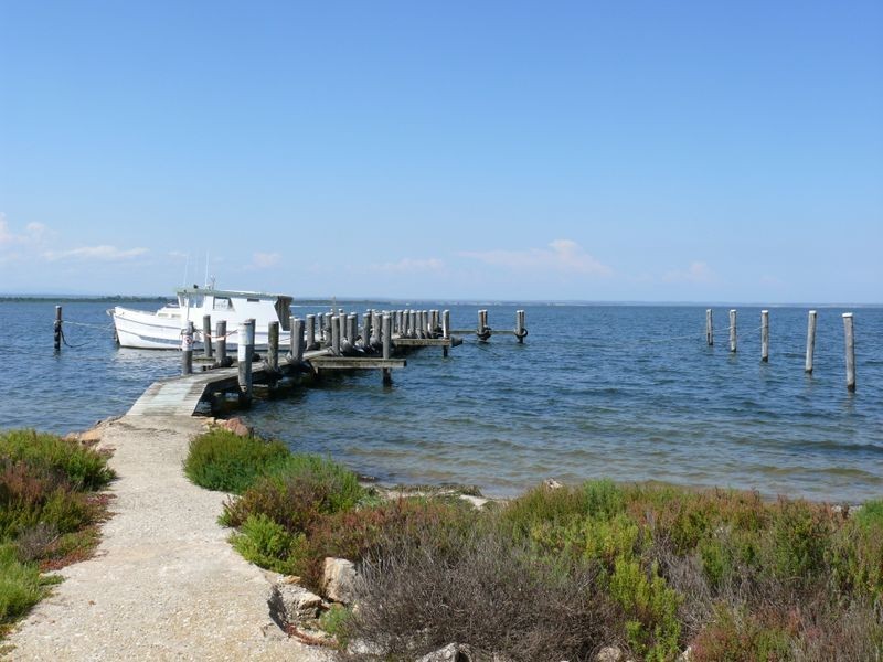 10 Millicent Court, Eagle Point VIC 3878