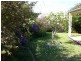 Paynesville VIC 3880