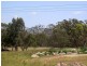 Eagle Point VIC 3878