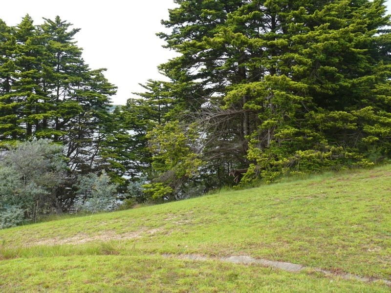 16 Backwater Court, Paynesville VIC 3880