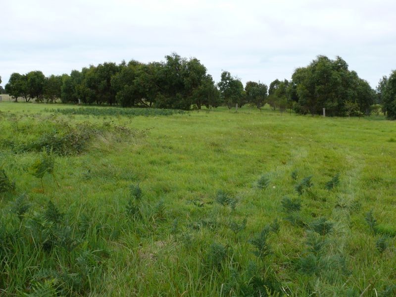 200 Birrells Road, Newlands Arm VIC 3875