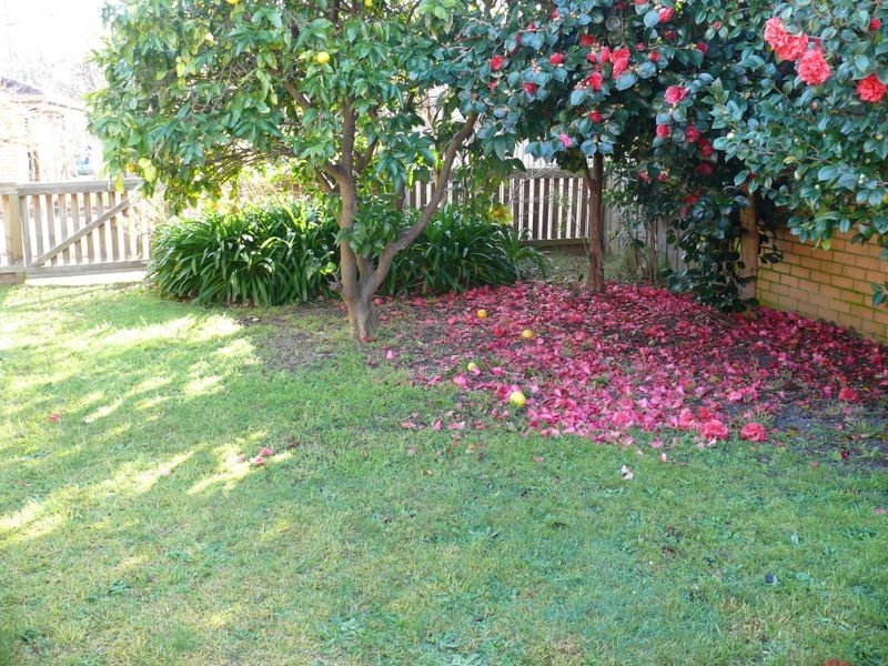 2/8 Reynolds Street, Paynesville VIC 3880