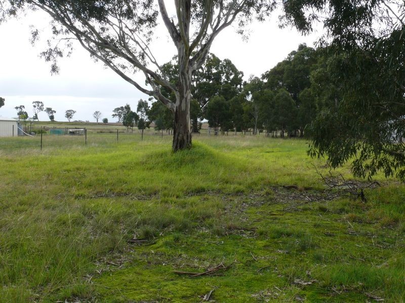 132 Newlands Drive, Paynesville VIC 3880