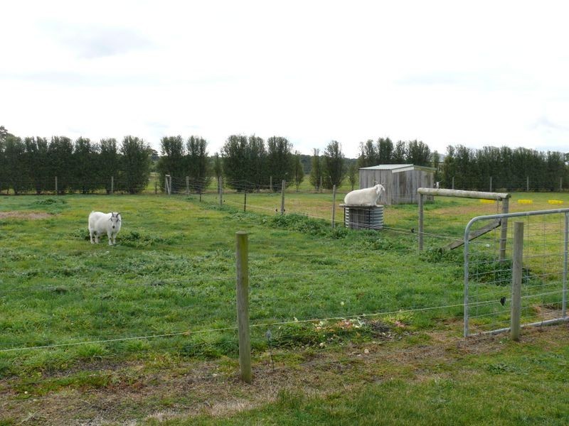 25 Birrells Road, Newlands Arm VIC 3875