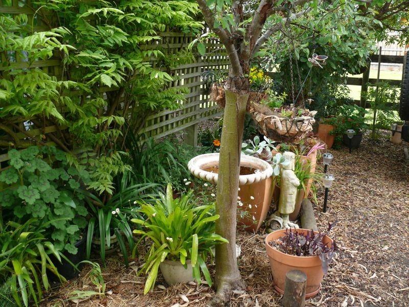 3A Green Court, Eagle Point VIC 3878