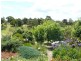 110 Forge Creek Road, Eagle Point VIC 3878
