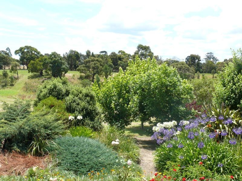 110 Forge Creek Road, Eagle Point VIC 3878