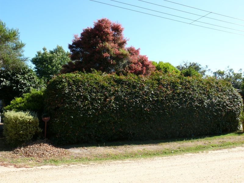 14 Eleventh Parade, Raymond Island VIC 3880