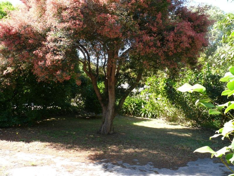 14 Eleventh Parade, Raymond Island VIC 3880