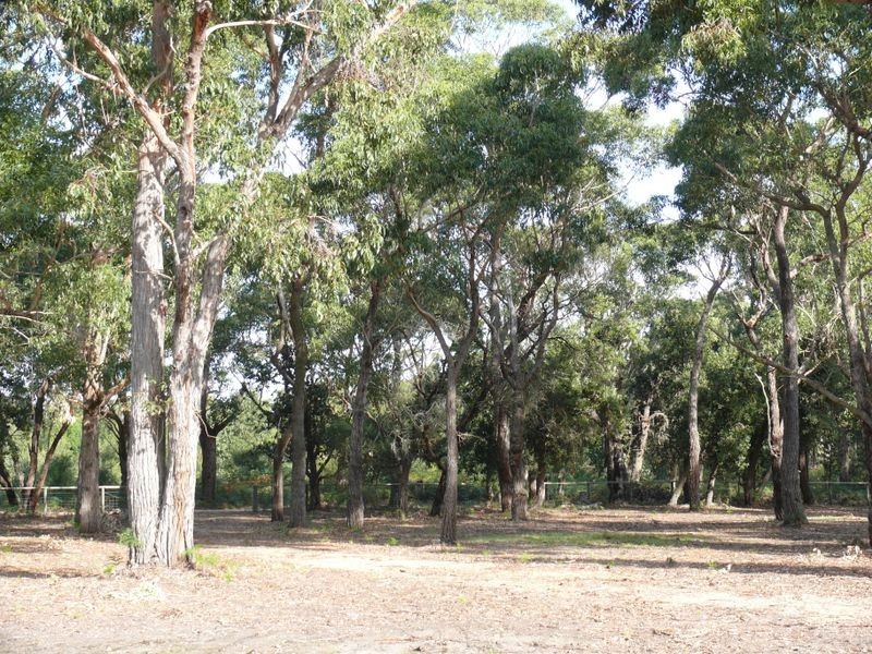 155 Centre Road, Raymond Island VIC 3880