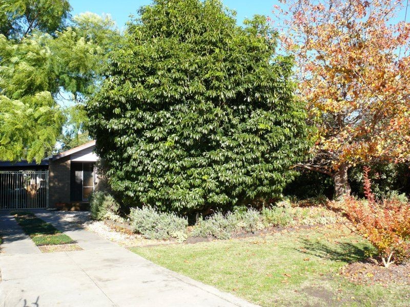 5 Rex Street, Paynesville VIC 3880