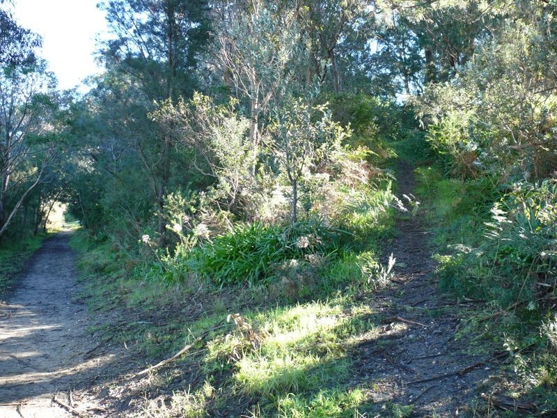 167 Newlands Drive, Paynesville VIC 3880