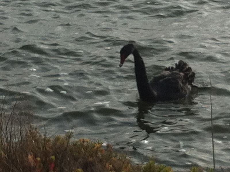 16 Riley Street, Eagle Point VIC 3878